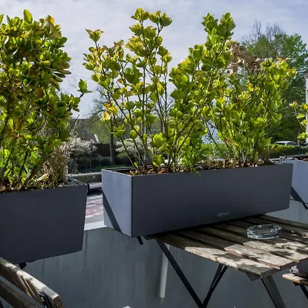 Modern Und Ruhig Nähe Stadt Zentrum Apartment Ulm